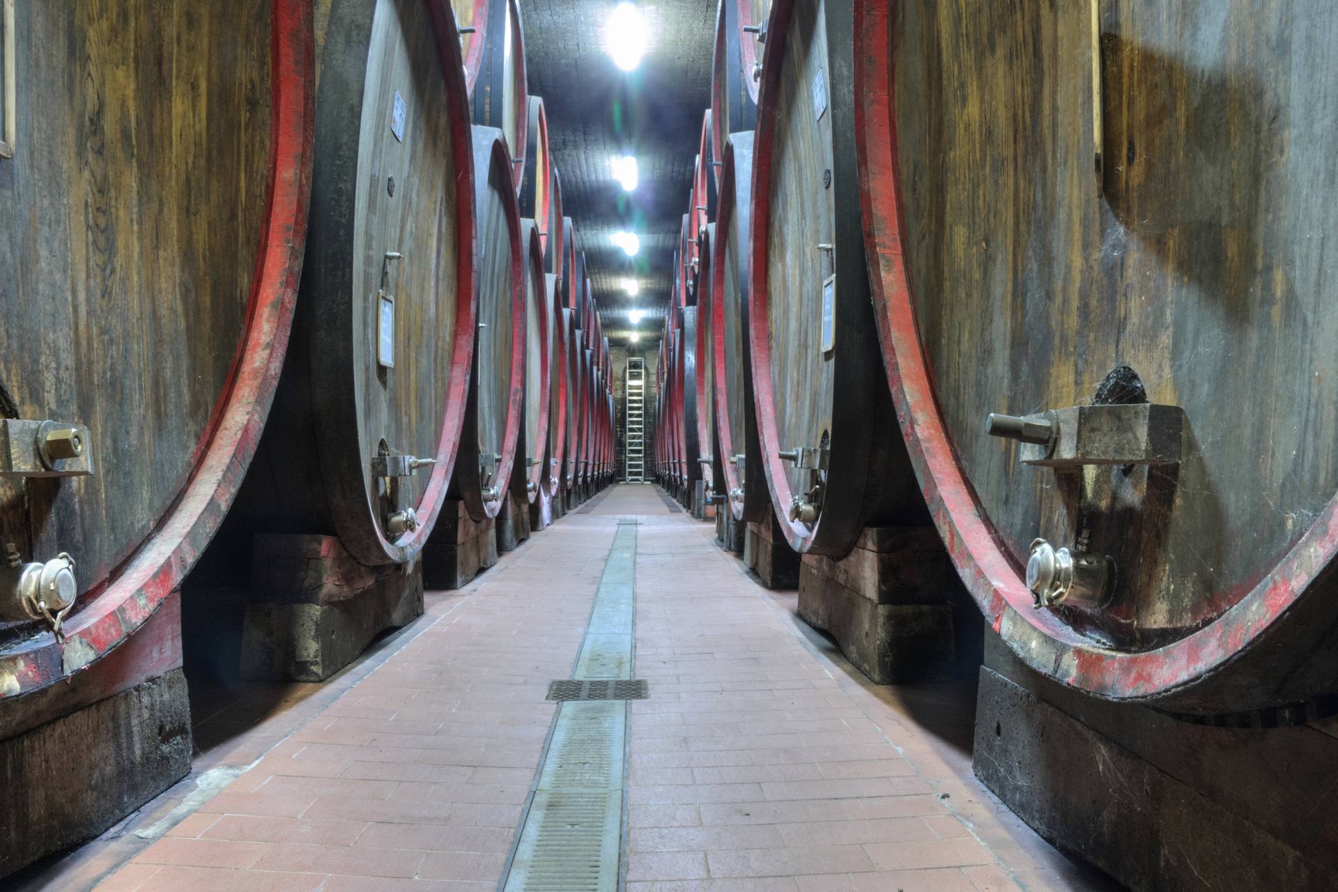 The Cellar