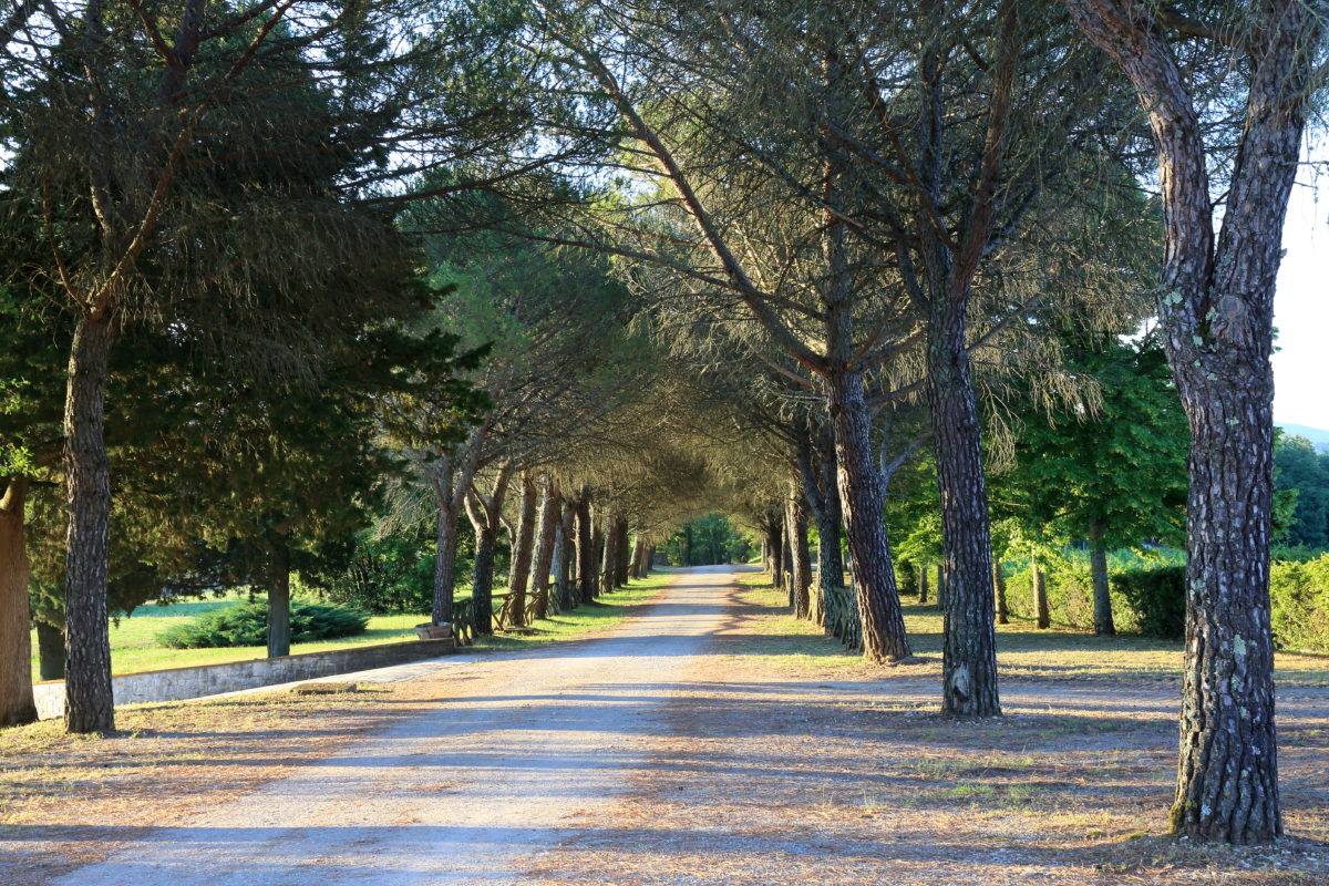 Gaiole house views 004